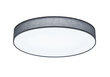 LED plafons Lugano, 75 cm, pelēks/balts цена и информация | Griestu lampas | 220.lv