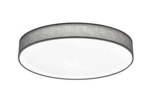 LED plafons Lugano, 75 cm, pelēks/balts цена и информация | Потолочные светильники | 220.lv