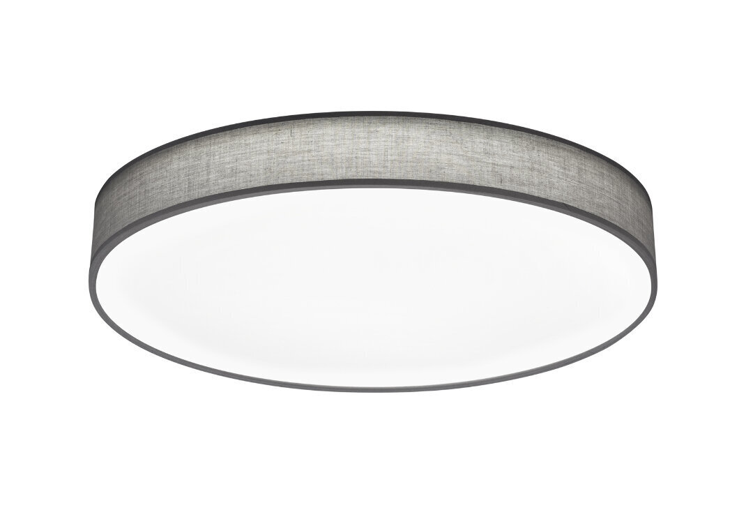 LED plafons Lugano, 75 cm, pelēks/balts цена и информация | Griestu lampas | 220.lv