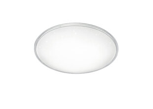 LED plafons Condor, 42 cm, balts cena un informācija | Griestu lampas | 220.lv