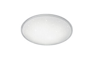 LED plafons Condor, 42 cm, balts цена и информация | Потолочные светильники | 220.lv