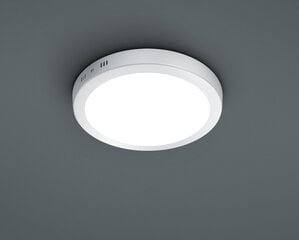LED plafons Cento, 22 cm, balts cena un informācija | Griestu lampas | 220.lv