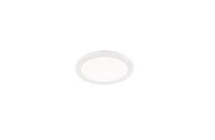 LED plafons Camillus, 26 cm, balts, IP44 cena un informācija | Griestu lampas | 220.lv