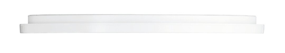 LED plafons Camillus, 40 cm, balts, IP44 цена и информация | Griestu lampas | 220.lv