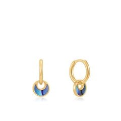 Позолоченные серьги Ania Haie Tidal Abalone Crescent Huggie Hoops 901028200 цена и информация | Серьги | 220.lv