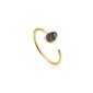 Ania Haie apzeltīts sudraba gredzens Tidal Abalone 901028212 cena un informācija | Gredzeni | 220.lv