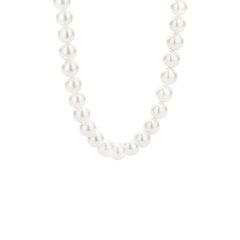 Ti Sento klasiska kaklarota ar baltām pērlēm 901011433 цена и информация | Украшения на шею | 220.lv