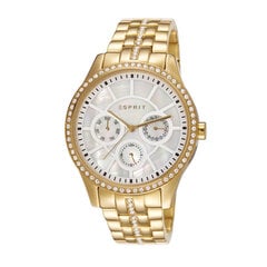 Esprit sieviešu rokas pulkstenis Paradiso 901009854 cena un informācija | Sieviešu pulksteņi | 220.lv