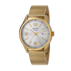 Esprit vīriešu rokas pulkstenis Menlo Mesh 901009836 cena un informācija | Vīriešu pulksteņi | 220.lv