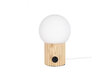 Globen Lighting galda lampa Hubble 15 цена и информация | Galda lampas | 220.lv