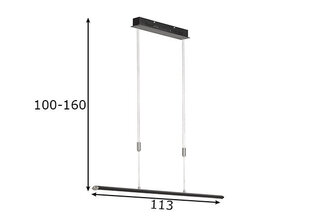 Подвесной светильник Fischer & Honsel Beat цена и информация | Настенный/подвесной светильник Eye Spot 11 BL, чёрный | 220.lv