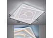 Griestu lampa Ratio LED, balta, 48 W/4600 lm 891097811 цена и информация | Griestu lampas | 220.lv