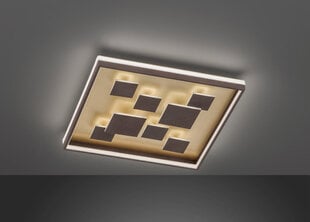 Griestu lampa Rico LED, brūna/rūsas toņa, 6x 46 W/6300 lm 891099634 цена и информация | Потолочные светильники | 220.lv