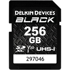 Карта памяти Delkin Devices 256GB BLACK UHS-I SDXC цена и информация | Карты памяти для фотоаппаратов | 220.lv