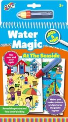 Книга Магия воды- у моря цена и информация | Принадлежности для рисования, лепки | 220.lv