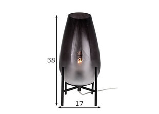 Galda lampa Tulip цена и информация | Настольные лампы | 220.lv