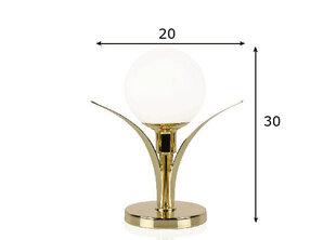 Galda lampa Savoy, misiņa apdares, 25 W cena un informācija | Galda lampas | 220.lv