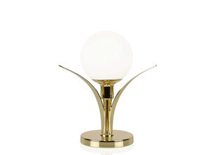 Galda lampa Savoy, misiņa apdares, 25 W цена и информация | Настольные лампы | 220.lv