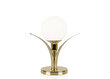 Galda lampa Savoy, misiņa apdares, 25 W цена и информация | Galda lampas | 220.lv