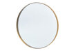 Spogulis Pinta, zelta cena un informācija | Spoguļi | 220.lv