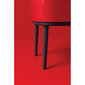 Atkritumu tvertne Brabantia Bo Touch Bin 11+23L, sarkana cena un informācija | Miskastes | 220.lv