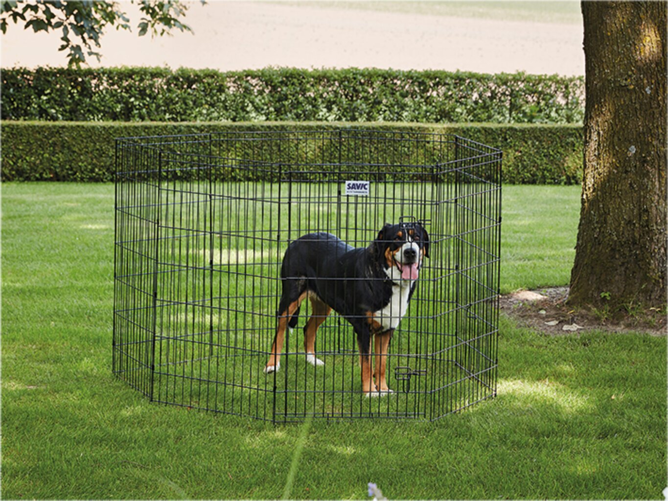 SAVIC DOG PARK 3 suņu voljērs 61 x 107 cm, cinks, 8 paneļi цена и информация | Transportēšanas būri, somas | 220.lv