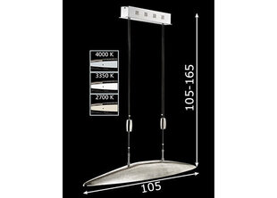 Потолочный светильник Colmar LED цена и информация | Люстры | 220.lv
