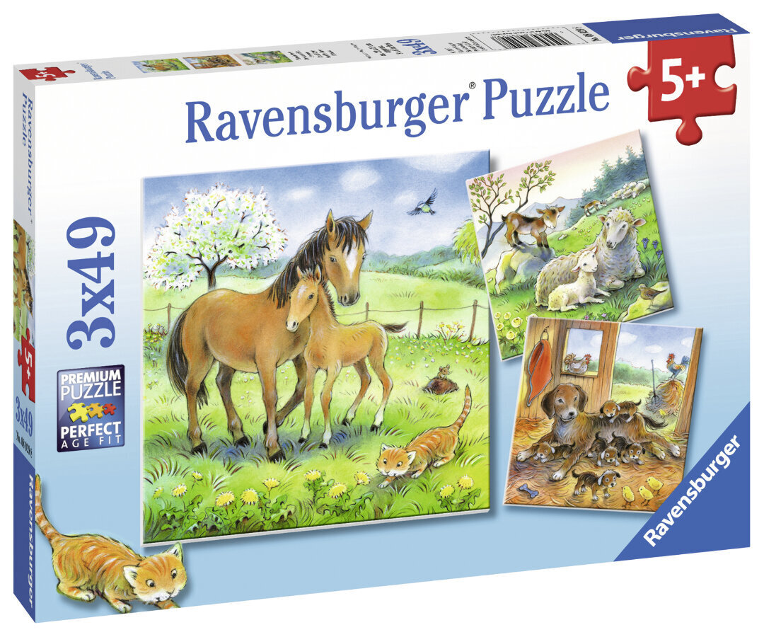 Puzle Maiguma laiks, 3 x 49 gab., Ravensburger cena un informācija | Puzles, 3D puzles | 220.lv