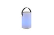 Galda lampa Bermuda LED RGBW ar bluetooth skaļruni IP44 цена и информация | Galda lampas | 220.lv