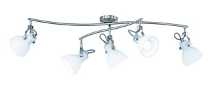 5-daļīga spotlampa Ginelli 5xE14, birstēta tērauda cena un informācija | Griestu lampas | 220.lv