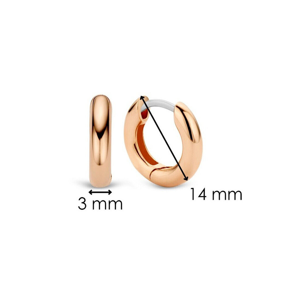 Ti Sento bāzes auskari ar rozā zeltu 901011464 cena un informācija | Auskari | 220.lv
