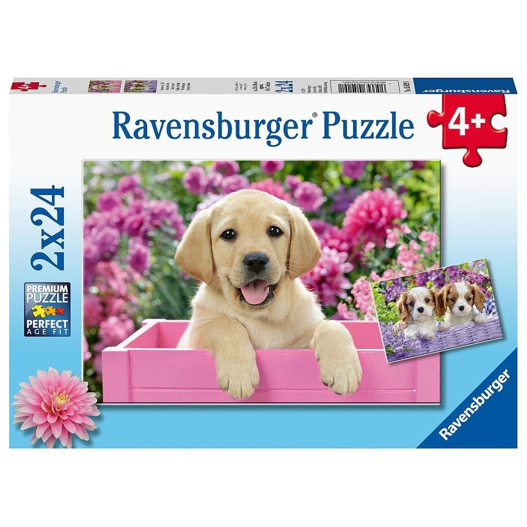 Ravensburger puzle 2 x 24 gab. Spalvainie draugi цена и информация | Puzles, 3D puzles | 220.lv