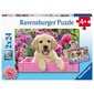 Ravensburger puzle 2 x 24 gab. Spalvainie draugi cena un informācija | Puzles, 3D puzles | 220.lv