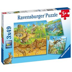 Пазл Ravensburger, 3x49 шт, Животные цена и информация | Пазлы | 220.lv