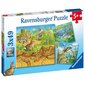 Ravensburger puzle, 3 x 49 gab., Dzīvnieki цена и информация | Puzles, 3D puzles | 220.lv