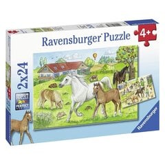 Ravensburger puzle, 2 x 24 gab., Zirgi cena un informācija | Puzles, 3D puzles | 220.lv