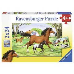 Ravensburger puzle 2x24 gab. Zirgu pasaule cena un informācija | Puzles, 3D puzles | 220.lv