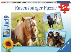 Ravensburger Puzzle 3in1 Zirgi 080113V cena un informācija | Puzles, 3D puzles | 220.lv