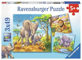 Ravensburger Puzzle 3in1 Savvaļas dzīvnieki 080038V cena un informācija | Puzles, 3D puzles | 220.lv