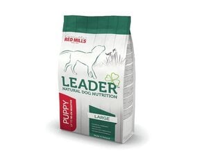 Red Mills Leader sausā barība lielo šķirņu kucēniem ar vistu un rīsiem, 12kg цена и информация | Сухой корм для собак | 220.lv