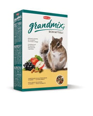 Barība vāverēm PD Grandmix Scoiattoli PP00188, 750 g cena un informācija | Barība grauzējiem | 220.lv