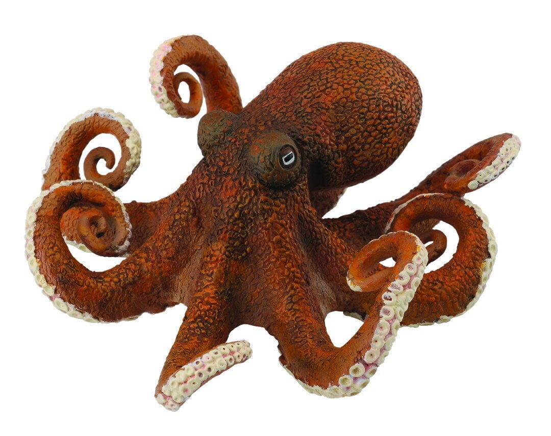 COLLECTA (XL) Astoņkājis 88485 cena un informācija | Konstruktori | 220.lv