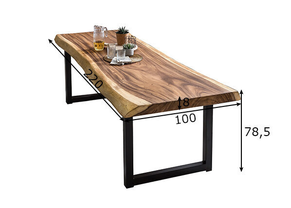Ēdamistabas galds Tische, 100 x 220 cm cena un informācija | Virtuves galdi, ēdamgaldi | 220.lv