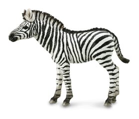 Zebra figūriņa Collecta 88850 cena un informācija | Rotaļlietas zēniem | 220.lv