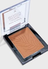 Bronzaors Wet n Wild Color Icon, 11 g cena un informācija | Bronzeri, vaigu sārtumi | 220.lv