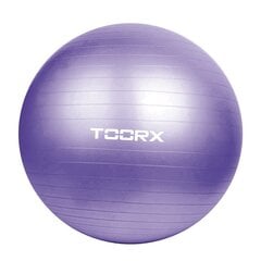 Гимнастический мяч Toorx AHF-013 D75cm с насосом цена и информация | Гимнастические мячи | 220.lv
