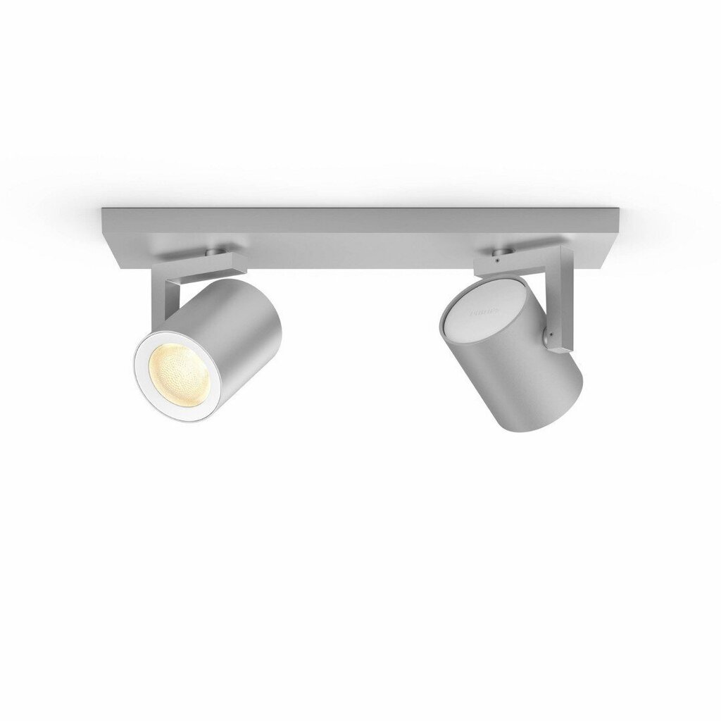 Philips Hue - Argenta plate/spiral -White and Color Ambiance цена и информация | Iebūvējamās lampas, LED paneļi | 220.lv