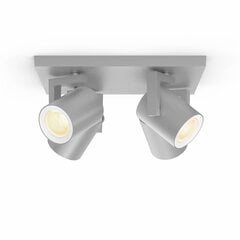 Griestu lampa Philips Hue cena un informācija | Griestu lampas | 220.lv