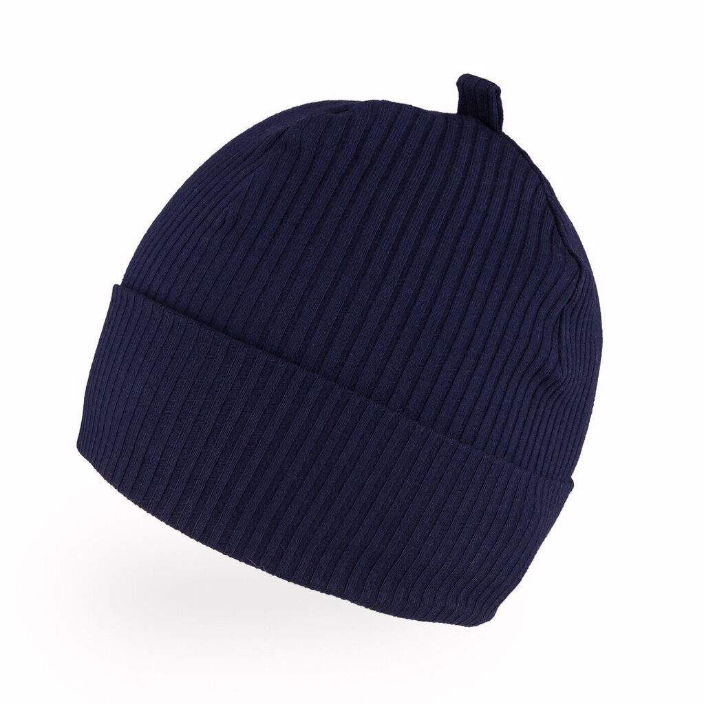 Pavasara cepure TuTu, zila цена и информация | Cepures, cimdi, šalles zēniem | 220.lv