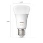 PHILIPS Power consumption 9 Watts Luminous flux 800 Lumen 4000 K Bluetooth/ZigBee 929002216801 cena un informācija | Spuldzes | 220.lv